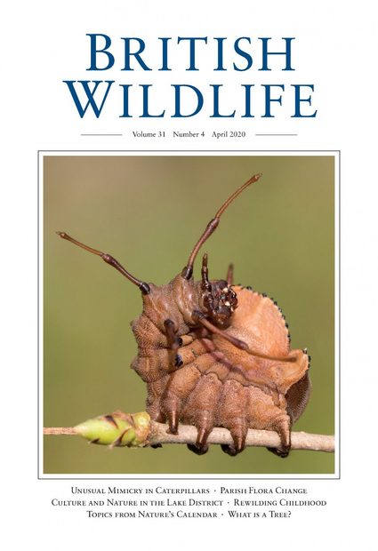 British Wildlife 31.4 April 2020
