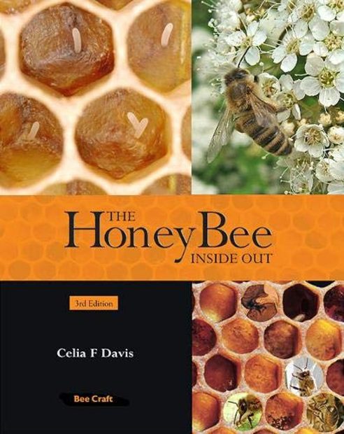 The Honey Bee Inside Out | NHBS Academic & Professional Books