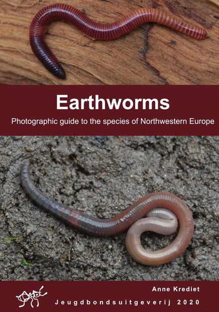 Earthworms