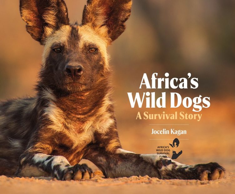 Africa's Wild Dogs