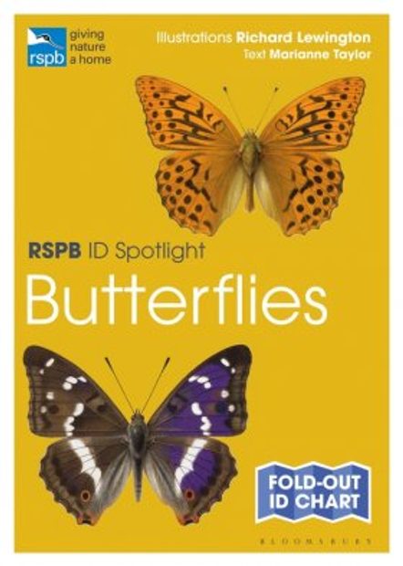 RSPB ID Spotlight: Butterflies