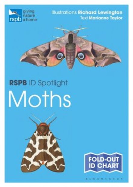 RSPB ID Spotlight: Moths