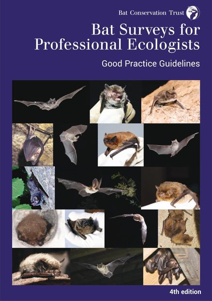 Bat Surveys for Professional Ecologists