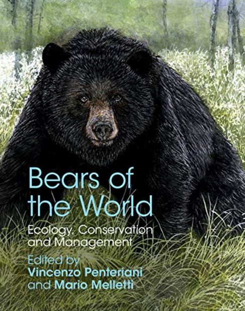 Bears of the World