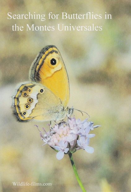 Searching for Butterflies in the Montes Universales (Region 2)
