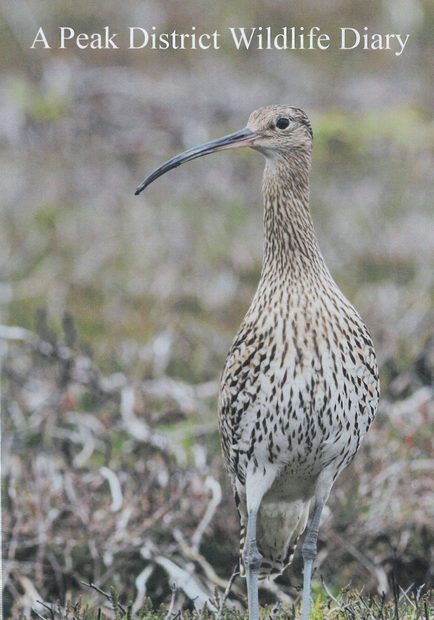A Peak District Wildlife Diary (Region 2)