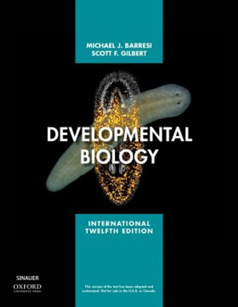 Developmental Biology (International Edition)