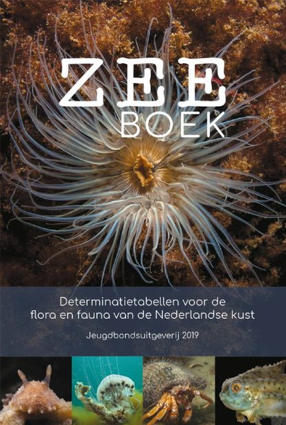 Zeeboek: Determinatietabellen voor Flora en Fauna van de Nederlandse Kust [The Sea Book: Identification Tables of the Flora and Fauna of the Dutch Coast]