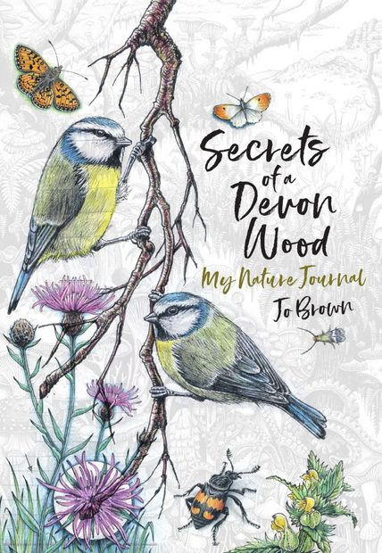 Secrets of a Devon Wood