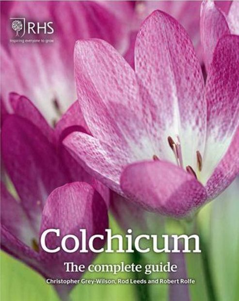 Colchicum