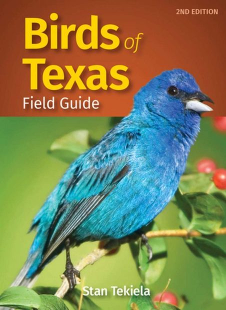 Birds of Texas