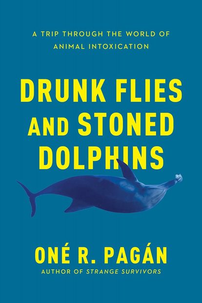 Drunk Flies and Stoned Dolphins