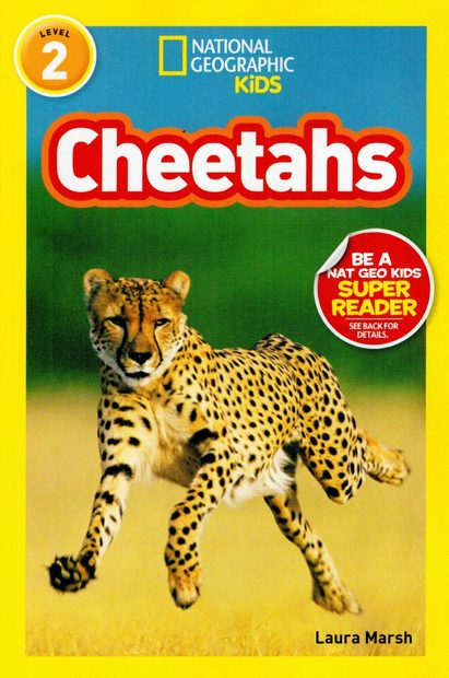 Cheetahs