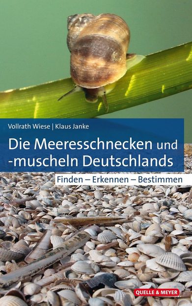 Die Meeresschnecken und -Muscheln Deutschlands: Finden - Erkennen - Bestimmen [The Sea Snails and Mussels of Germany: Finding - Recognizing - Identifying]