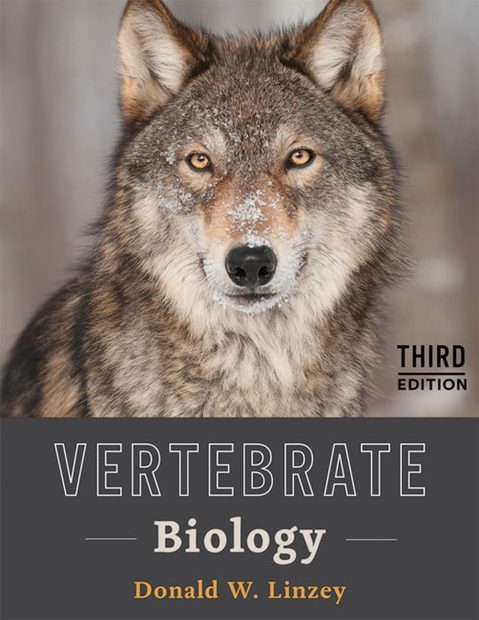 Vertebrate Biology