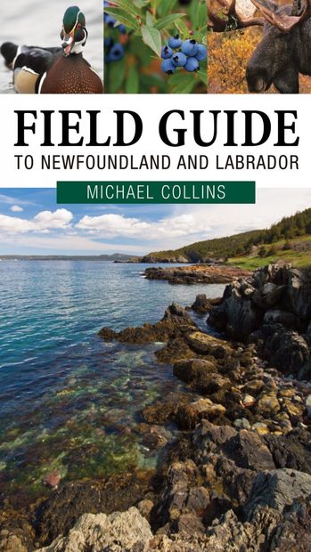 Field Guide to Newfoundland and Labrador