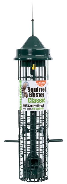 Squirrel Buster Classic Feeder