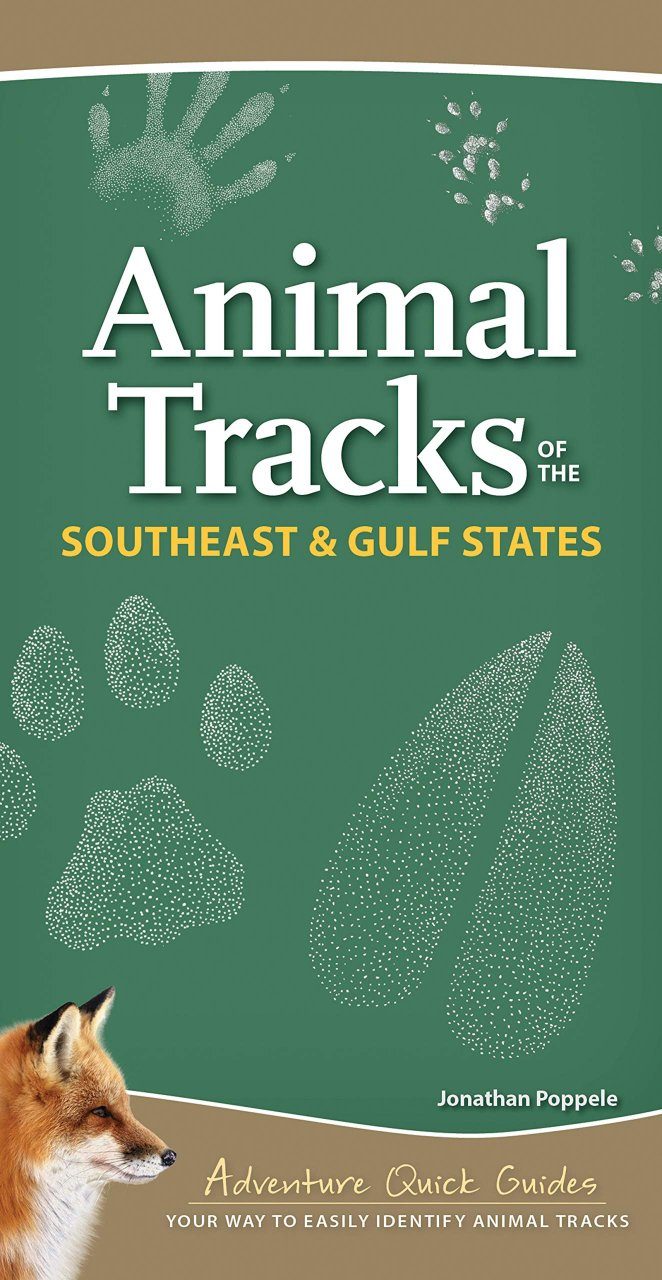 Animal Tracks of the Southeast & Gulf States: Your Way to Easily Identify Animal  Tracks | NHBS Field Guides & Natural History