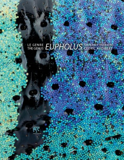 The Genus / Le Genre Eupholus