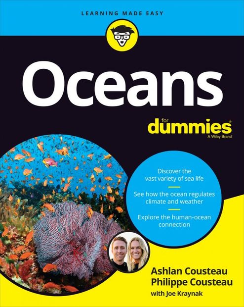 Oceans for Dummies