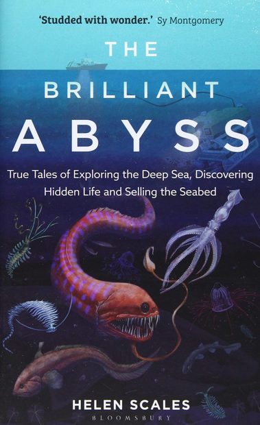 The Brilliant Abyss