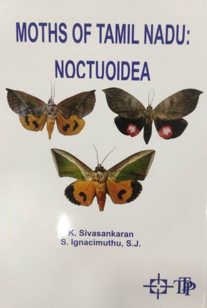 Moths of Tamil Nadu
