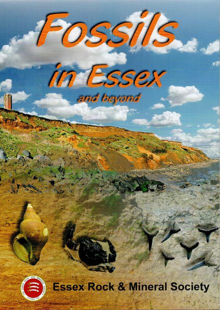 Fossils in Essex