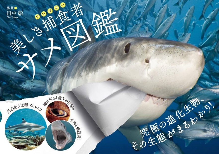 Utsukushiki Hoshoku-Sha Same Zukan [Predatory Shark Pictorial Book]