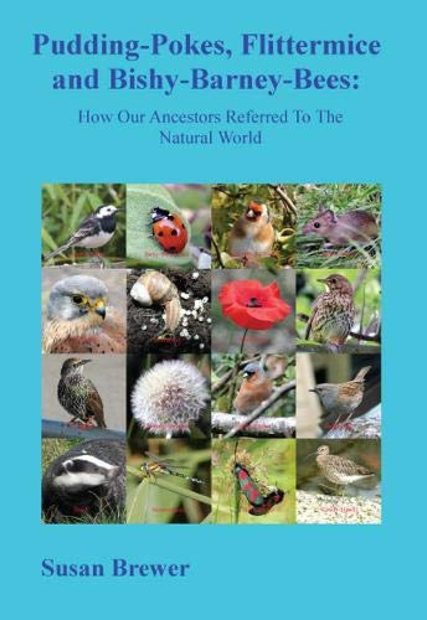 Pudding-Pokes, Flittermice and Bishy-Barney-Bees