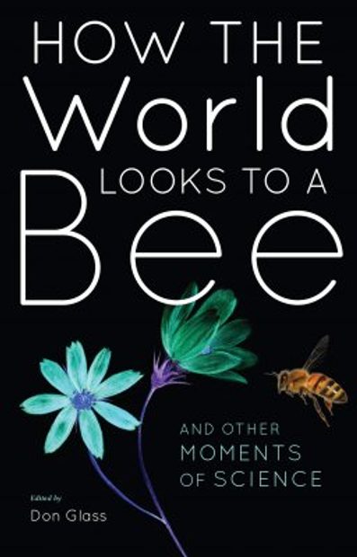 How the World Looks to a Bee