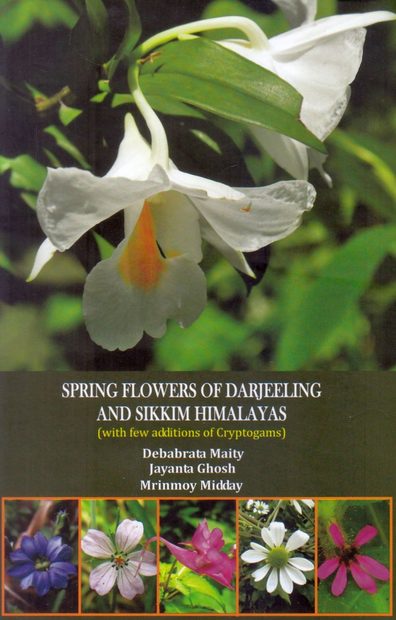 Spring Flowers of Darjeeling and Sikkim Himalayas