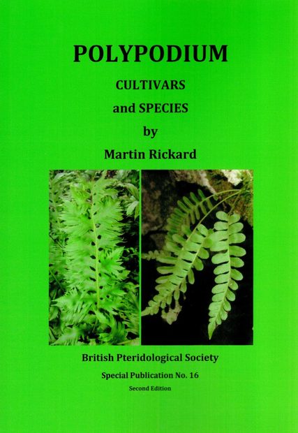 Polypodium Cultivars and Species