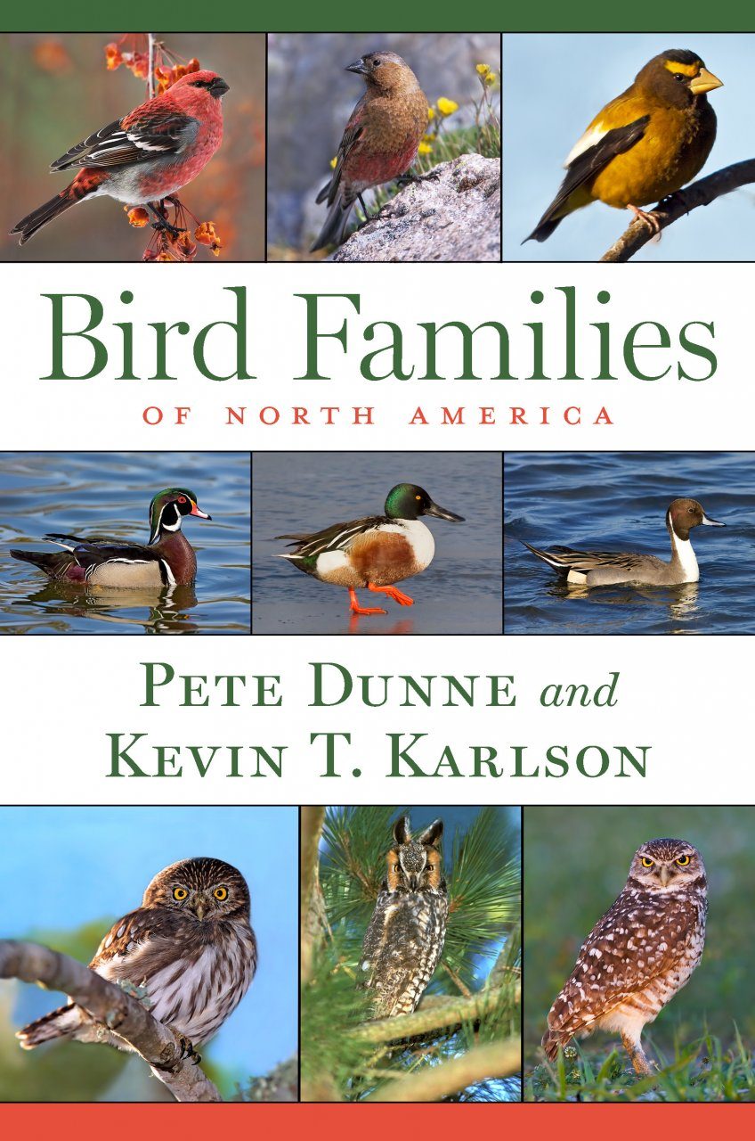 Bird Families of North America | NHBS Field Guides & Natural History