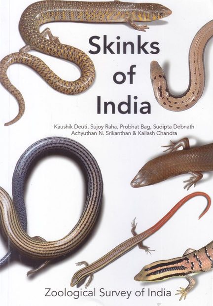 Skinks of India