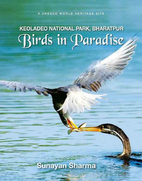 Keoladeo National Park, Bharatpur