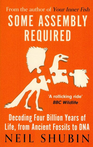 Some Assembly Required