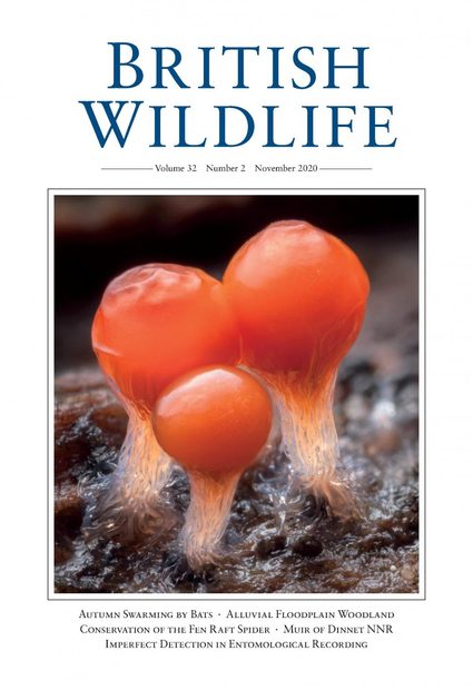 British Wildlife 32.2 November 2020