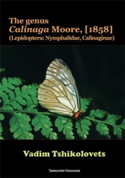 The Genus Calinaga Moore, [1858]