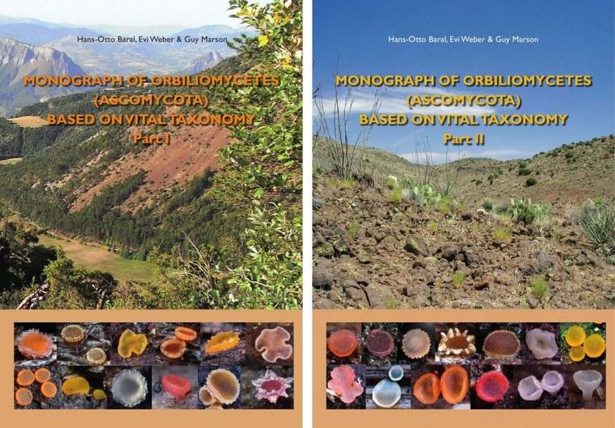 Monograph of Orbiliomycetes (Ascomycota) Based on Vital Taxonomy (2-Volume Set)