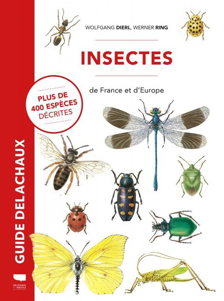 Insectes de France et d'Europe [Insects of France and Europe] | NHBS ...