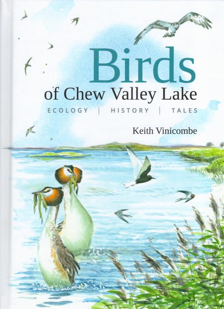 Birds of Chew Valley Lake