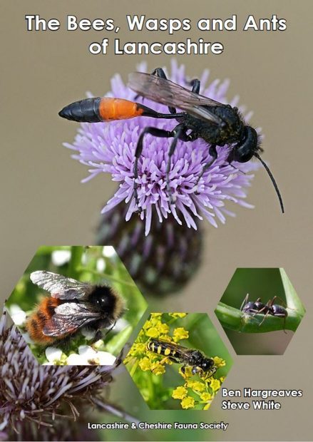 The Bees, Wasps and Ants of Lancashire