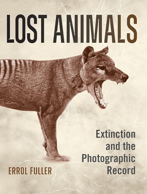 Lost Animals