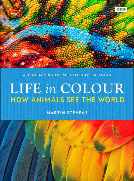 Life in Colour