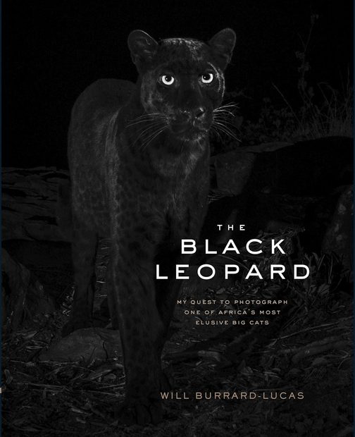 The Black Leopard