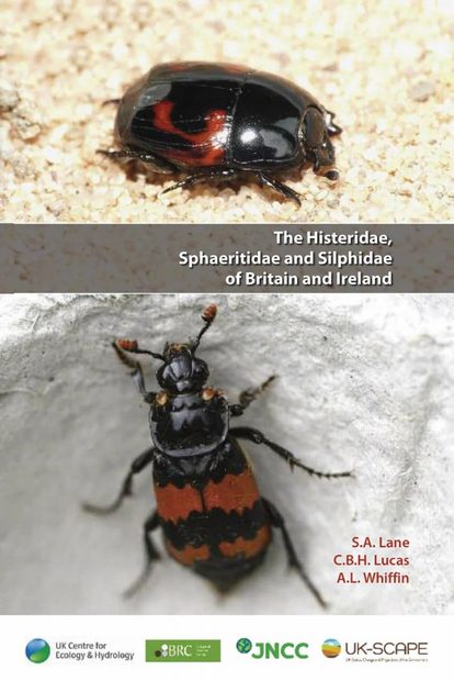 The Histeridae, Sphaeritidae and Silphidae of Britain and Ireland