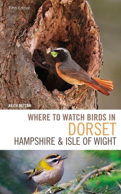 Where to Watch Birds in Dorset, Hampshire & the Isle of Wight