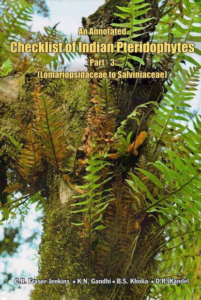 An Annotated Checklist of Indian Pteridophytes, Part 3: Lomariopsidaceae to Salviniaceae