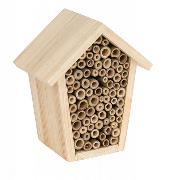 Pinta Apex Insect House