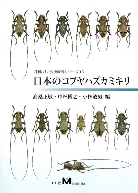 Parechthistatus of Japan [Japanese]